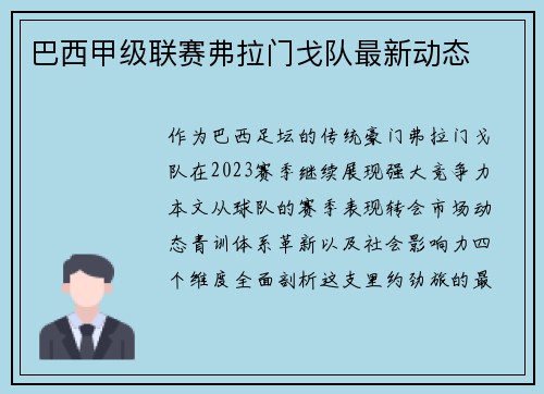 巴西甲级联赛弗拉门戈队最新动态